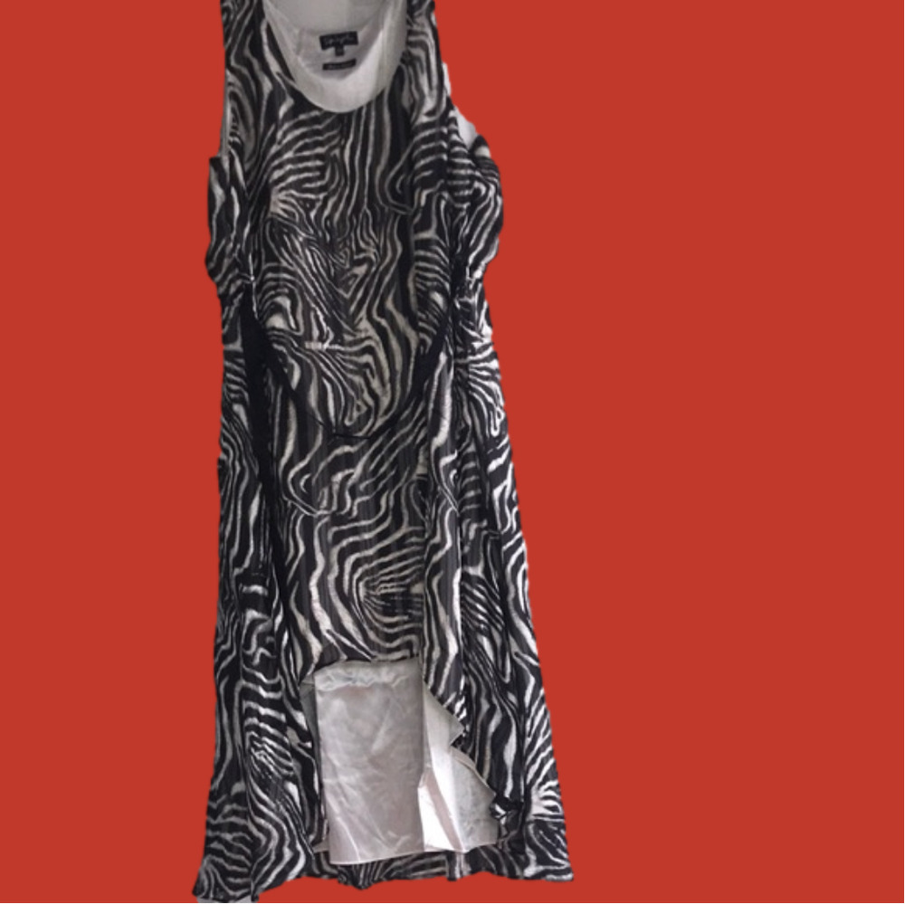 NWOT Spiegel zebra print dress 20w